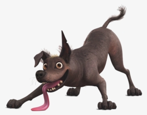 Imágenes De Coco Con Fondo Transparente, Descarga Imágenes - Coco Disney Dante Png