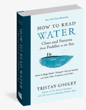 How To Read Water - Read Water: Clues, Signs & Patterns From Puddles