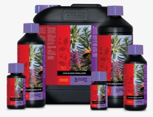 B'cuzz Coco Bloom Stimulator - B Cuzz Coco Bloom Stimulator