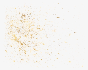 Contact Portfolio About Home - Colorfulness