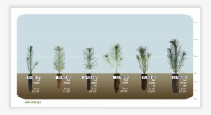 In The Hot Lands, You Can Empty The Water Cooler And - Water