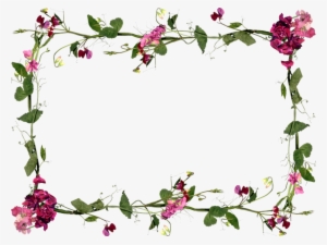 Marcos Flores Png - Frame Photoshop