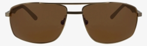 Brown/brown Polar - Sunglasses