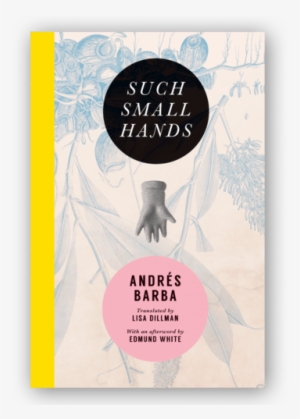 Barba Book Cover - Such Small Hands Andres Barba