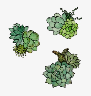 Succulentpattern001 Final - Unisex