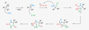 Reaction Mechanism[edit] - Bucherer Berg Synthesis