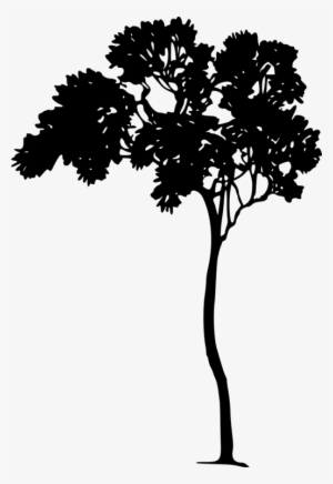 Shakespeare's Comedy Of A Midsummer-night's Dream Illustrator - Midsummer Night's Dream Clipart