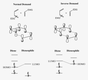 Fmo Of Diels-alder Reaction - Diels Alder Reaction