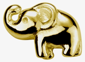 Gold Elephant - Lucky Charm - Indian Elephant