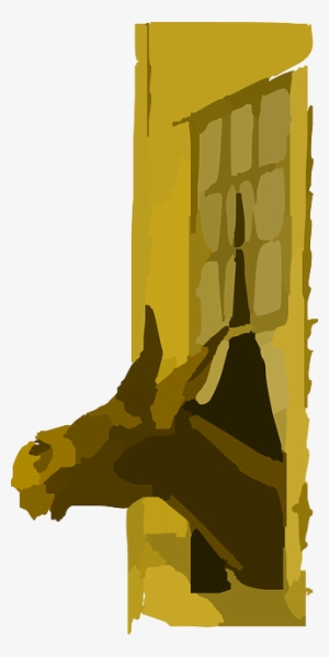Head, Farm, Donkey, Out, Funny, Window, Looking, Comedy - Donkey