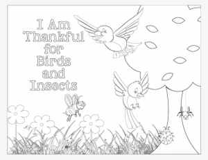 Sunbeams Chapter - Am Thankful For Birds And Insects Coloring Page