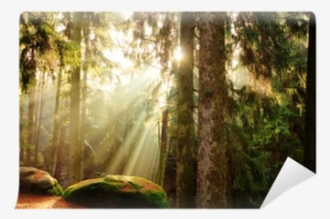 The Church Of Jesus Christ Of Latter-day Saints