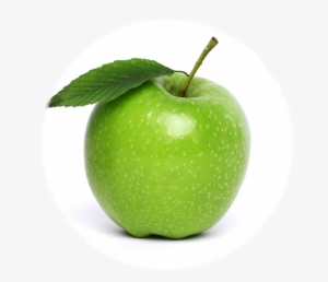Stem Png