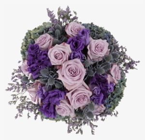Purple Haze - Garden Roses