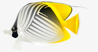 Aquarium Fish Png Clip Art Image - Portable Network Graphics