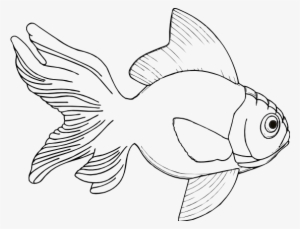 Black And White Fish Clipart - Fish Pictures In Black And White