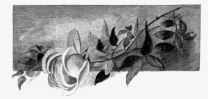 This Rose Image Would Be Lovely On A Handmade Greeting - Digital Stamp