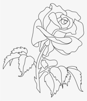 Medium Image - Rose Line Art Png