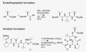 Key Steps In Alternative Macrocycle Synthesis - Macrocycle