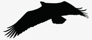 Eagle Vektor Vector Black Graphics The Sil - Eagle