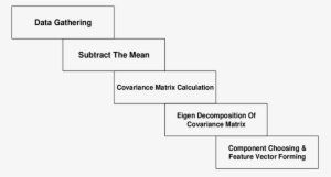 Principal Component Analysis Steps - Science