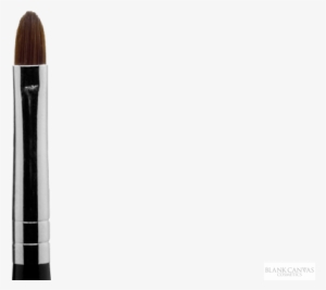 Makeup Brushes