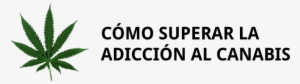 Cómo Superar La Adicción A La Marihuana Cannabis - Anesthesia