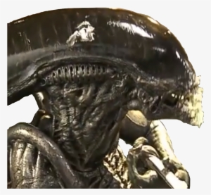 Cakexeno - Statue