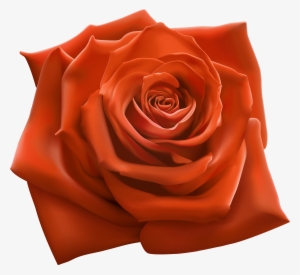 Orange Rose Png Clipart Image - Snoop Dogg 220 Album