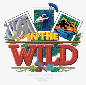 Lifeway 2019 Vbs Theme