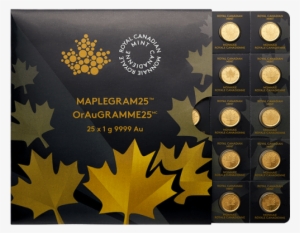 Perth Mint Gold Bar 1g