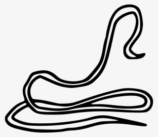 Worm Dracunculiasis Dracunculus Medinensis Parasitism - Guinea Worm Clip Art