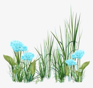 Visit - Imagens De Grama E Flores Png