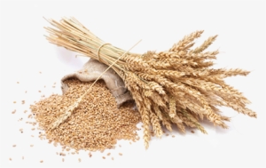 Grain Png Picture - Grain Png