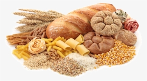 Hidratos De Carbono Y Grasas