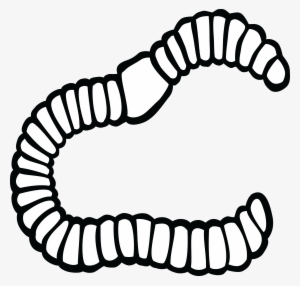 , , - Clipart Black And White Earthworm
