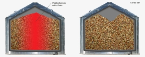 Wall Grain Cored Grain - Grain