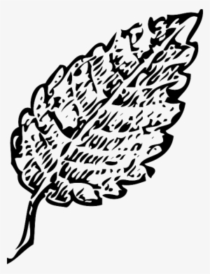 Black, Fall, Outline, Leaf, Palm, Tree, White, Line - Leaf Outline