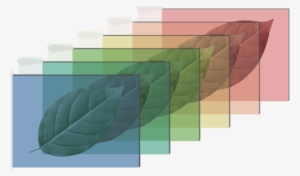 Hyperspectral Hoja 2 - Portable Network Graphics