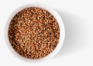 Always Gluten Free - Sorghum