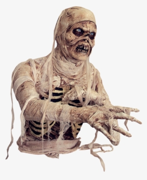 Download Amazing High-quality Latest Png Images Transparent - Hd Mummy Images Transparent Backgrounds