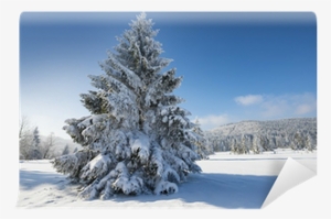 Winter Landscape With Big Snow Covered Spruce Tree - Paysage D'hiver
