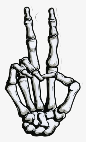 Skeleton Hand Png Free Hd Skeleton Hand Transparent Image Pngkit