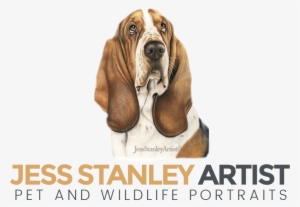 Demo Demo - Jess Stanley Artist