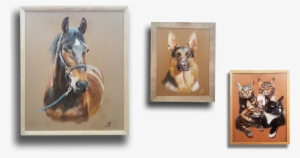 Welcome - - Great Dane