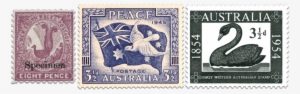 Magenta Lyrebird Colonial Stamp, 1946 3 1/2d