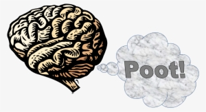 Brain-fart - Environmental Influences On Development Of The Brain