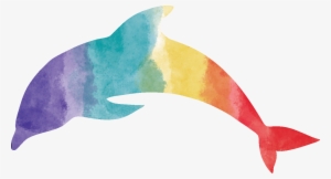 If You Would Like To Chat With Me About A Speaking - Dolphin