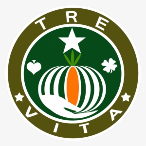 Comida Organica - Areca Palm