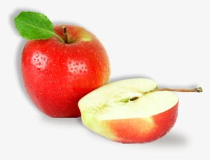 Baby Fruit Feeder, Tinabless Bpa Free & 100% Silicone
